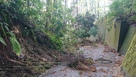 台風により倒木で塞がれた坂2…