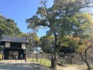 名島門のある風景…