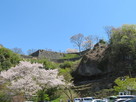 桜と駐車場から西の丸石垣…