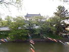 土浦城東櫓と鯉幟…