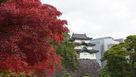 富士見櫓と紅葉…