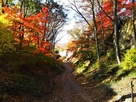 城の南の守り、鹿谷…