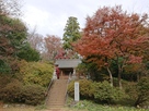 本丸跡の霞神社と紅葉