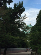 木々のむこうに。名古屋城…