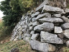 伝 本丸北面の下段の石垣