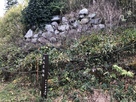 伝 本丸北面の上段の石垣