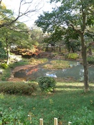 下茶屋公園の池…
