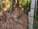 竹藪に隠れていた石垣