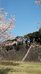 桜と算木積