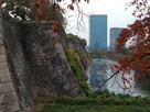 紅葉の大阪城水堀…