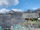 一二三段を入れた津山城城址の風景…
