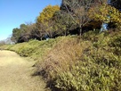 小牧山城の土累