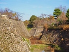 郡山城の石垣