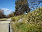 土累と土累にそった遊歩道