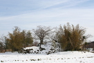 雪景色の主郭（西側から）