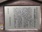 天然記念物　和田神社のいちょう一株…