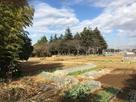 台地西端の土塁上から惠富比神社を撮影…