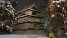 雪の辰巳櫓
