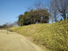 長大な小牧山城土累