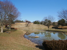外郭東門と整備された池