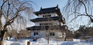 雪の弘前城