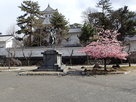 戸田氏鉄像と桜と天守…