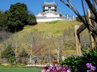 掛川城本丸跡の花と天守閣…