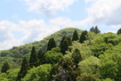 武名ヶ平山