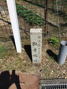 籾井城跡