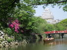 5月の姫路城