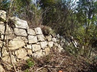 本丸南側の石垣…