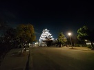 大阪城夜景
