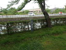 本丸渡櫓跡碑(南側の内堀)