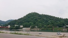 長良川越しの小倉山（北西より）