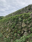 本丸跡の石垣