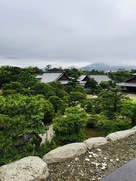 庭園