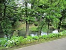 鶴ヶ池