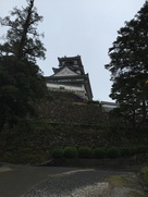 雨の高知城