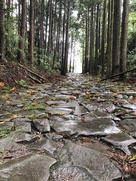 旧東海道の石畳…
