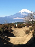 西櫓西側の畝堀と富士…