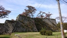 竹の丸櫓跡の石垣…