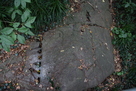弁財採石跡地の矢穴石