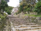 春の大手道