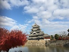 紅葉と松本城