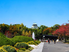 秋めく大阪城公園…