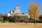 天守・西小天守等本丸櫓群（南側）…