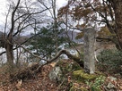 石碑と徳山ダム湖…