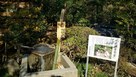 武田神社の武田水琴窟