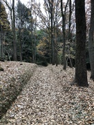 落葉に埋もれる鎌倉古道
