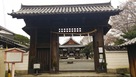 膳所城北大手門（篠津神社）（２０１７新春…